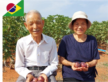 Kimura Agrofarm
